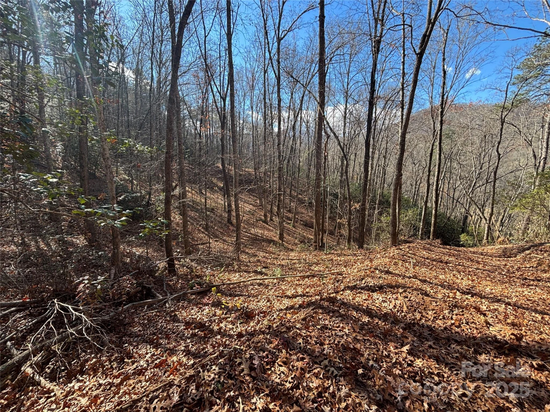 00 Barkers Creek Road - Photo 6