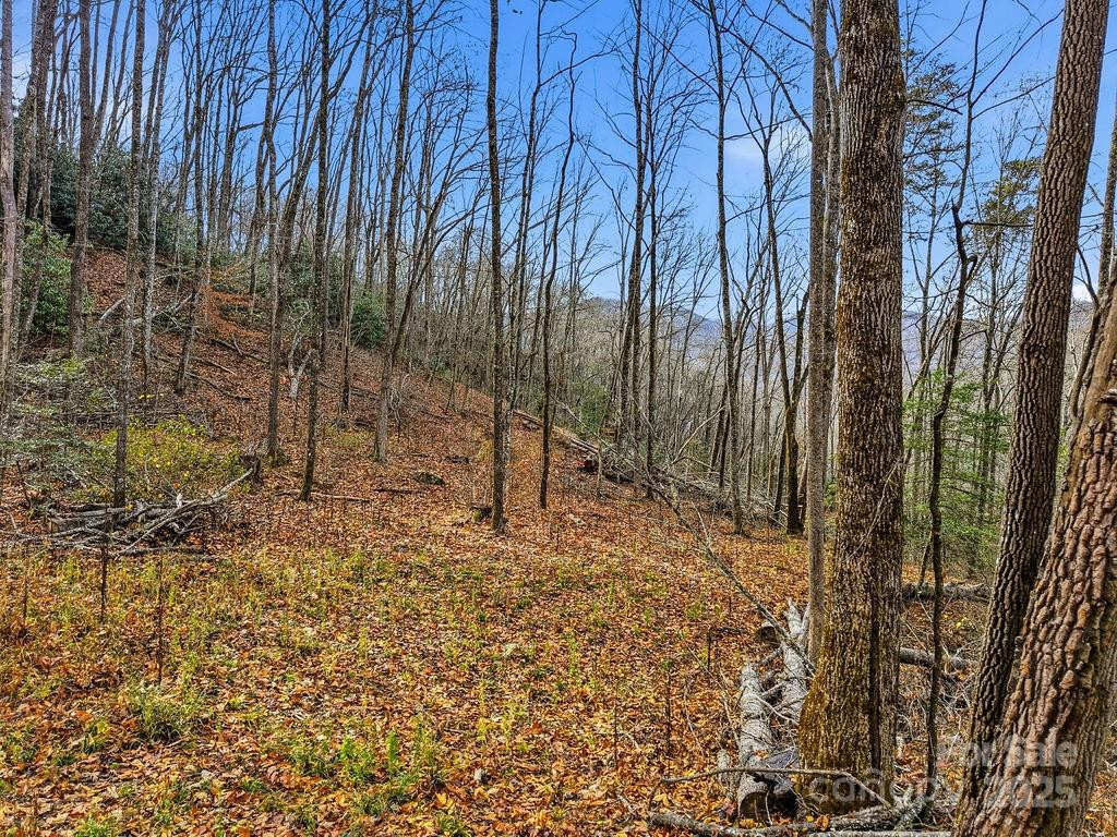 00 Barkers Creek Road - Photo 9