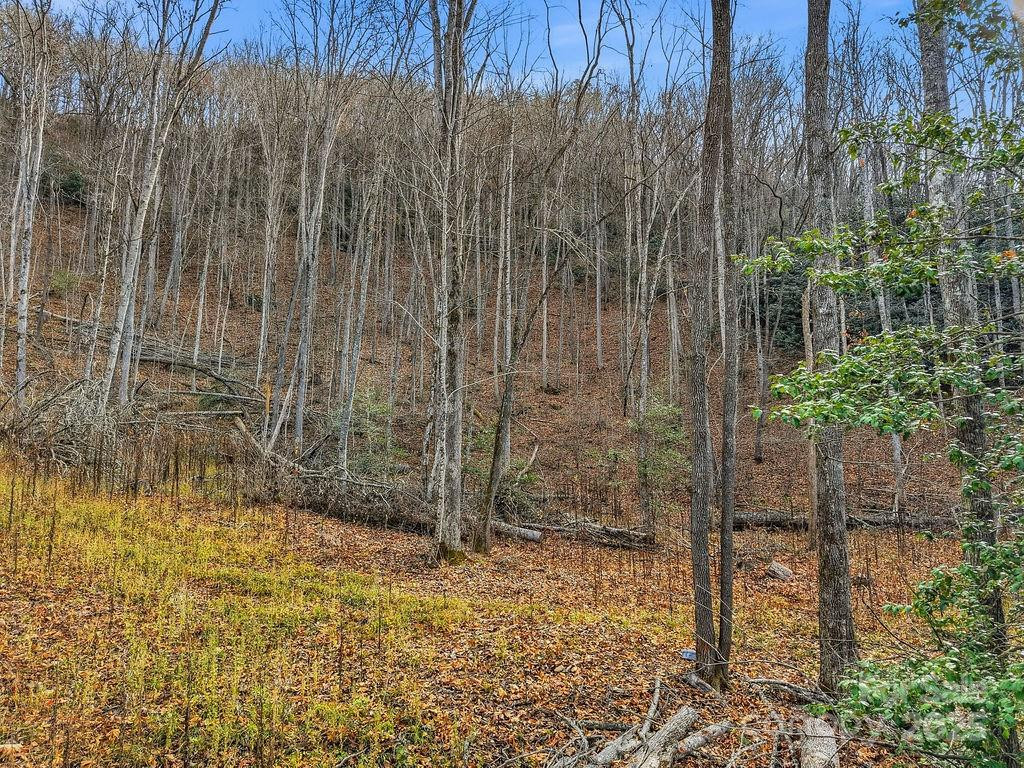 00 Barkers Creek Road - Photo 10