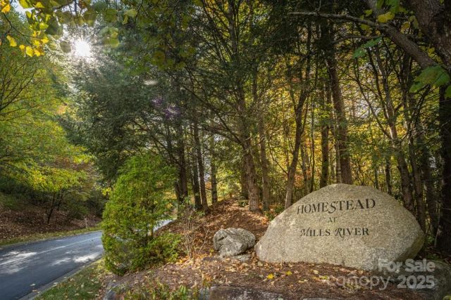99999 Shining Rock Path, Horse Shoe, NC, 28742
