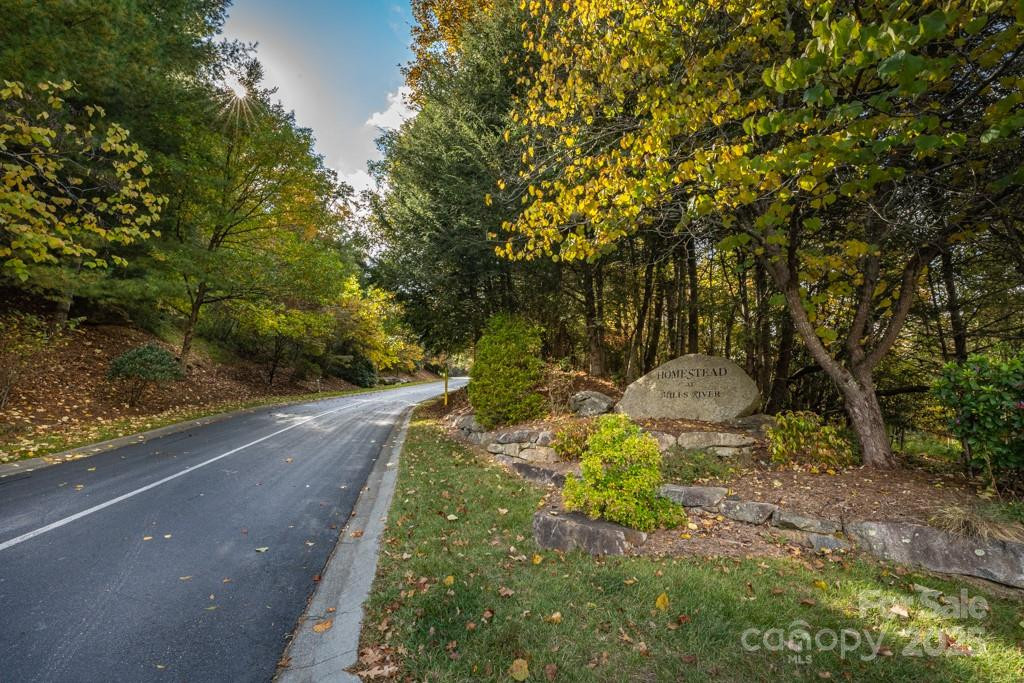 99999 Shining Rock Path - Photo 2