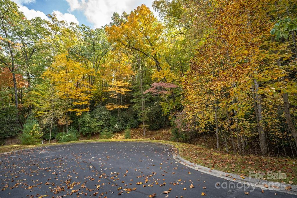 99999 Shining Rock Path - Photo 11