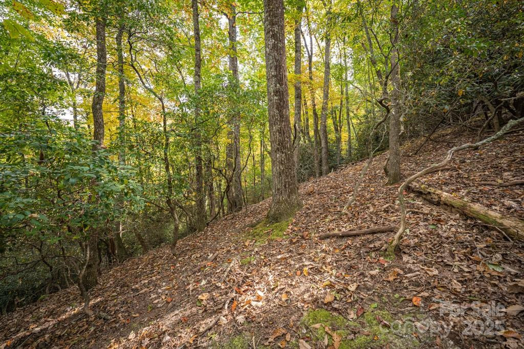 99999 Shining Rock Path - Photo 12