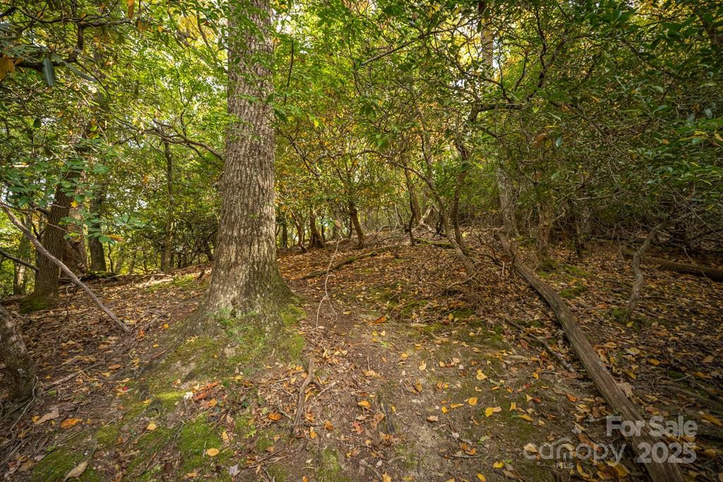 99999 Shining Rock Path - Photo 13