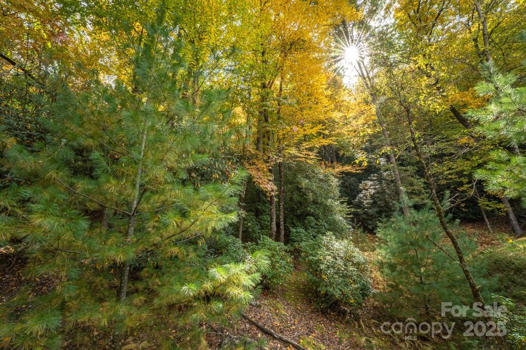 99999 Shining Rock Path - Photo 14