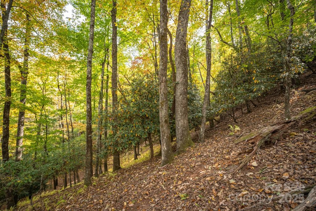 99999 Shining Rock Path - Photo 15