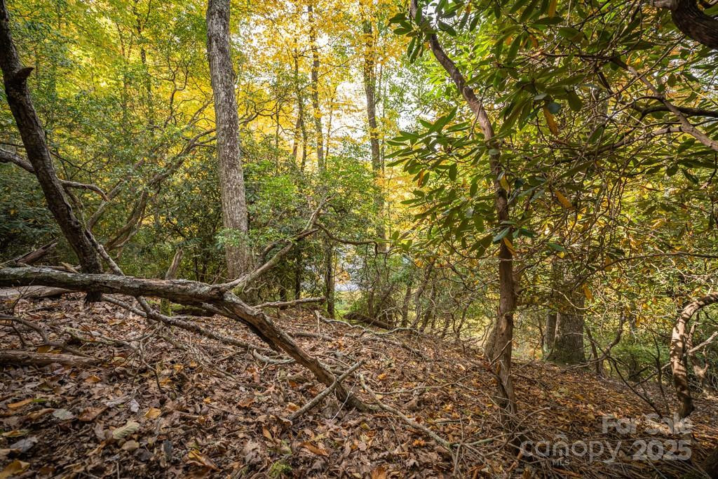 99999 Shining Rock Path - Photo 16