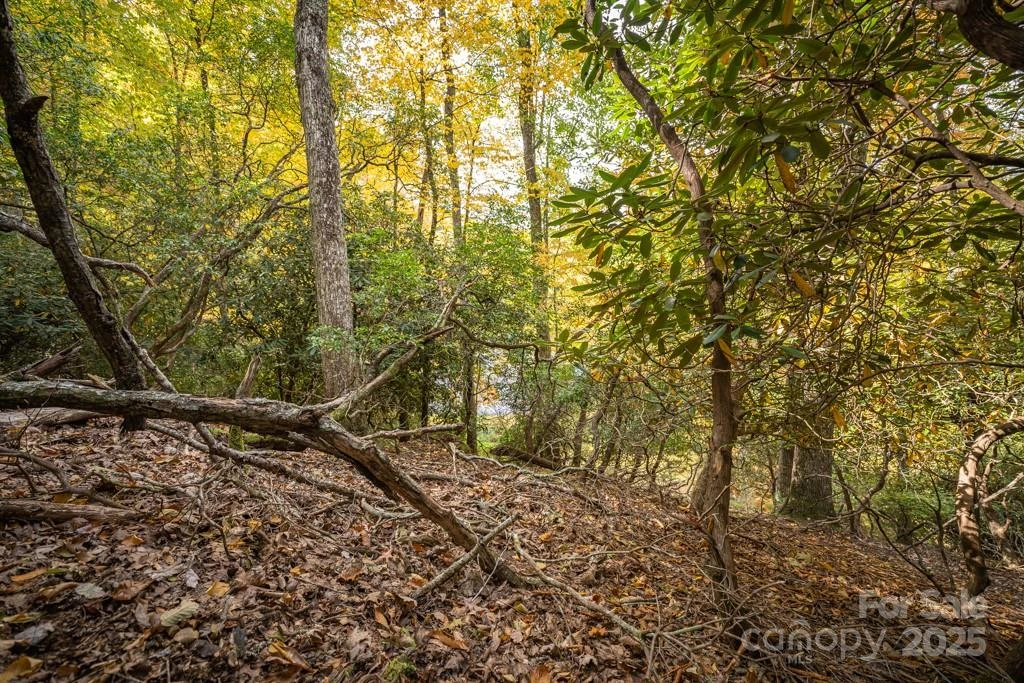 99999 Shining Rock Path - Photo 16