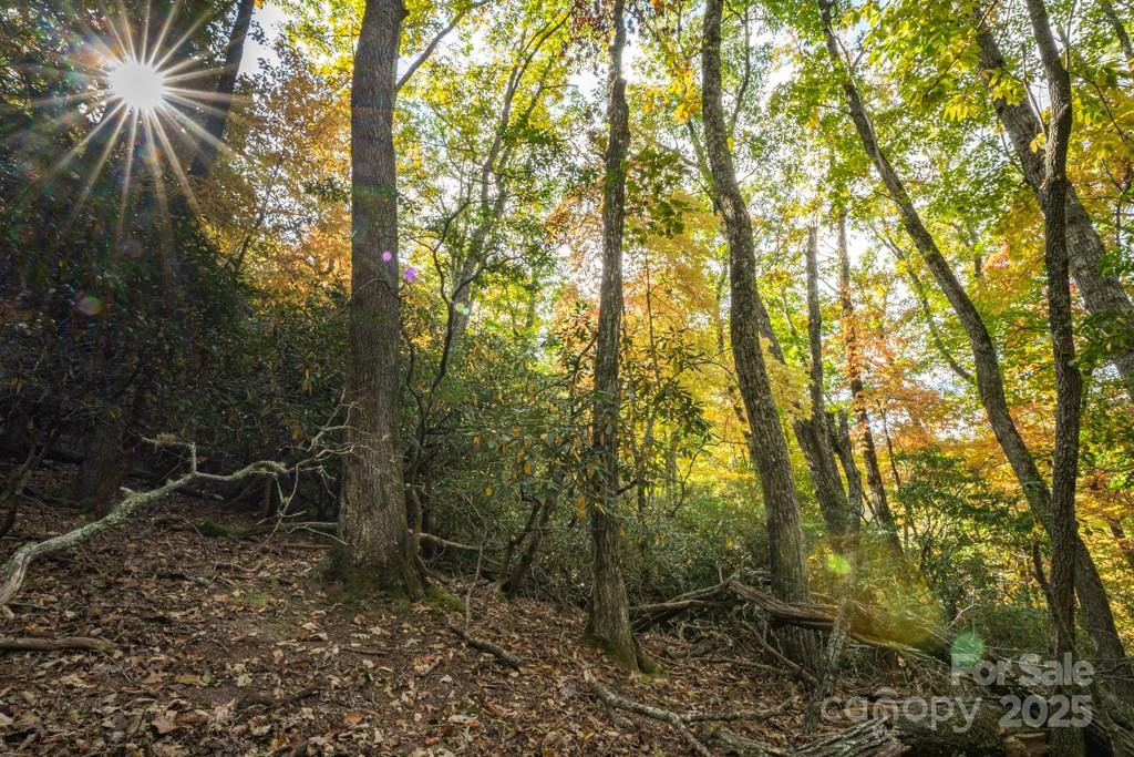 99999 Shining Rock Path - Photo 17