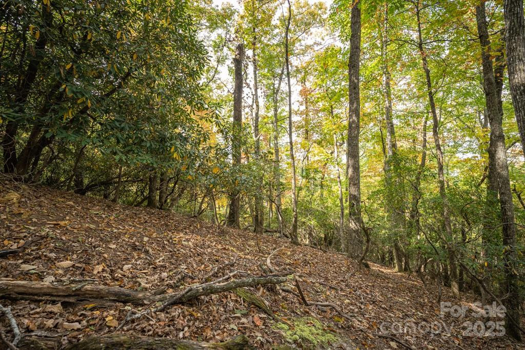 99999 Shining Rock Path - Photo 18