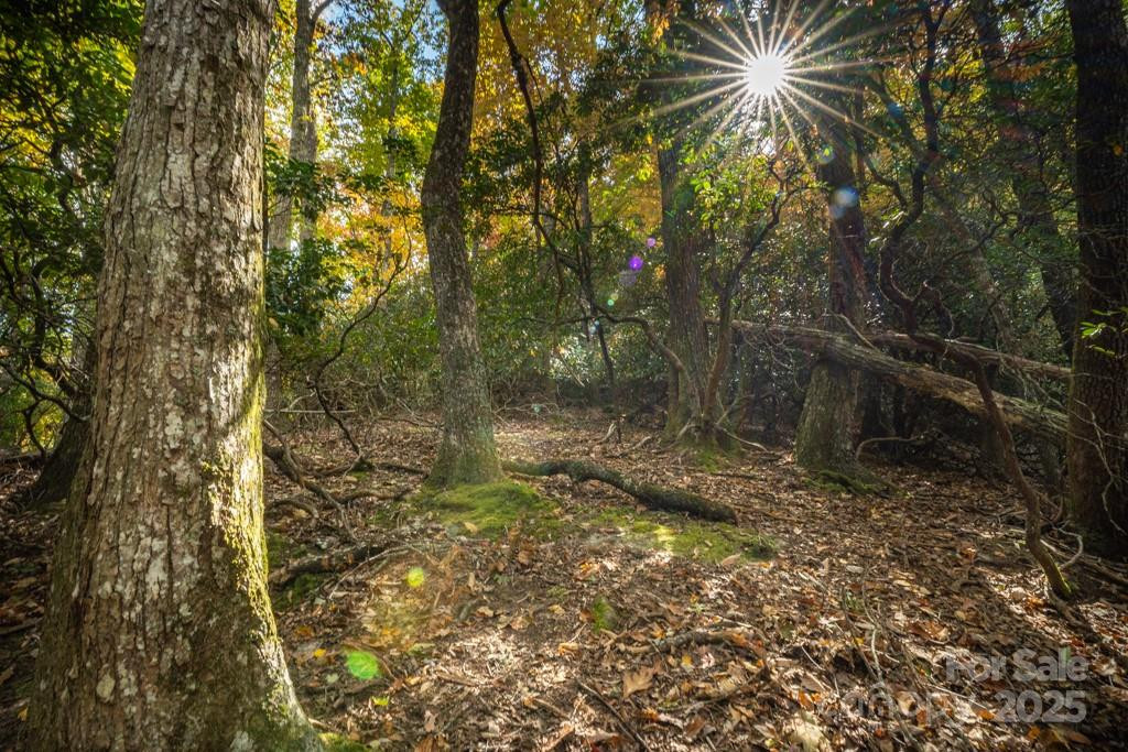 99999 Shining Rock Path - Photo 19