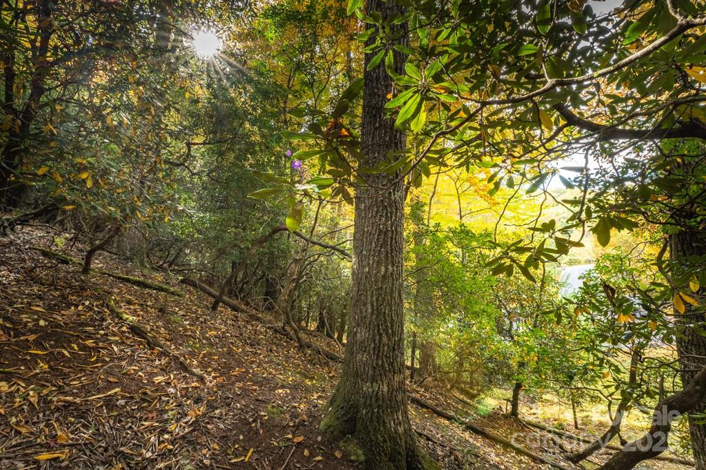 99999 Shining Rock Path - Photo 20