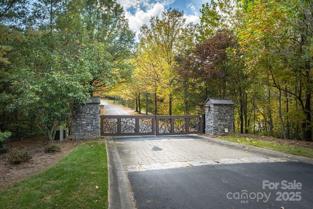 99999 Shining Rock Path - Photo 3