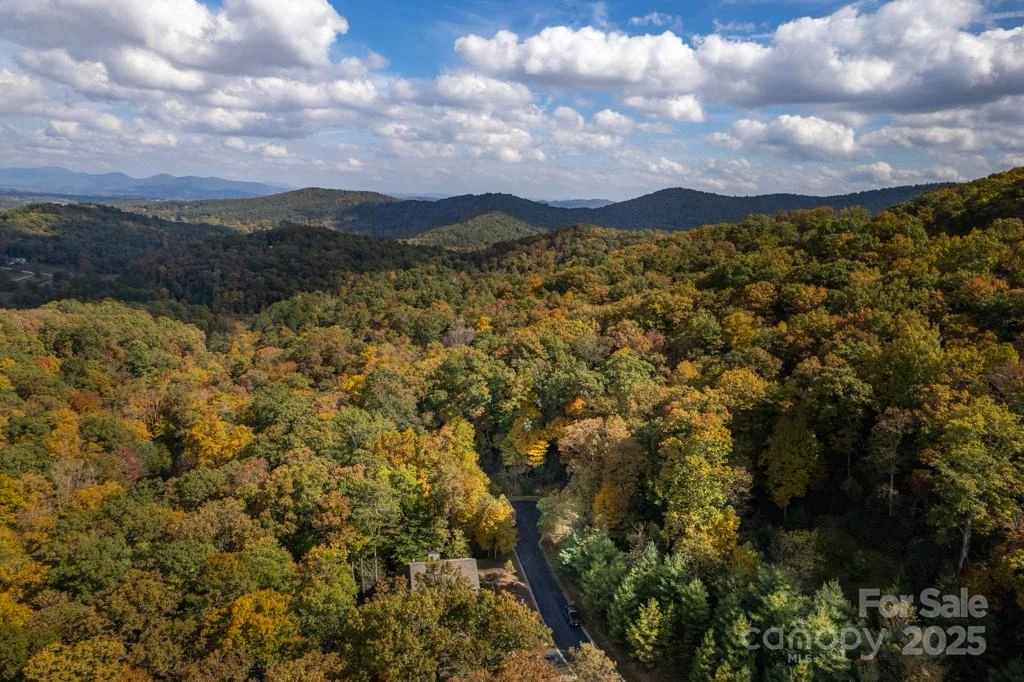 99999 Shining Rock Path - Photo 21