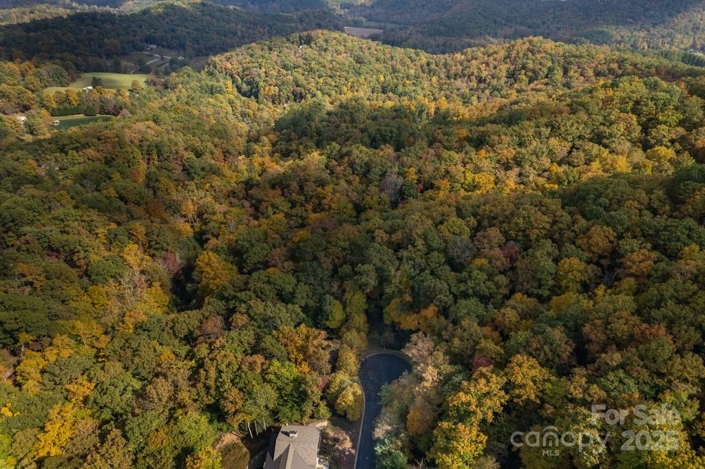 99999 Shining Rock Path - Photo 22