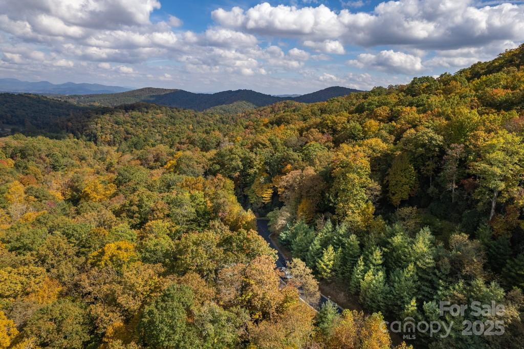 99999 Shining Rock Path - Photo 23