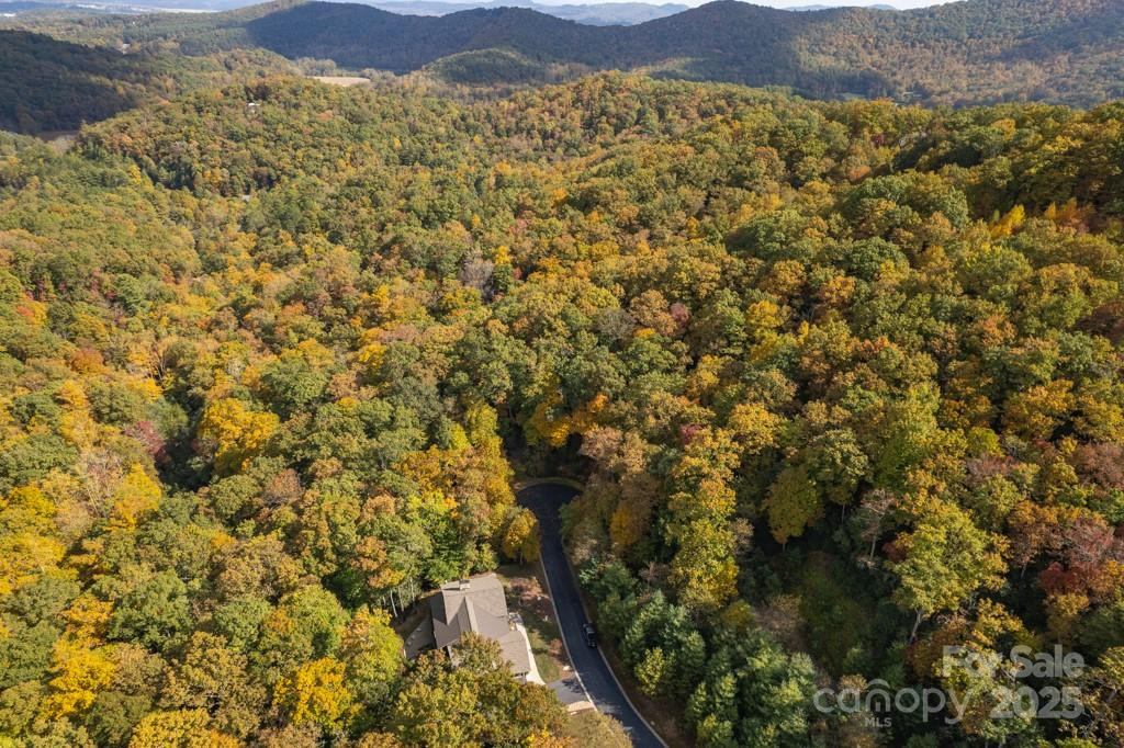 99999 Shining Rock Path - Photo 24