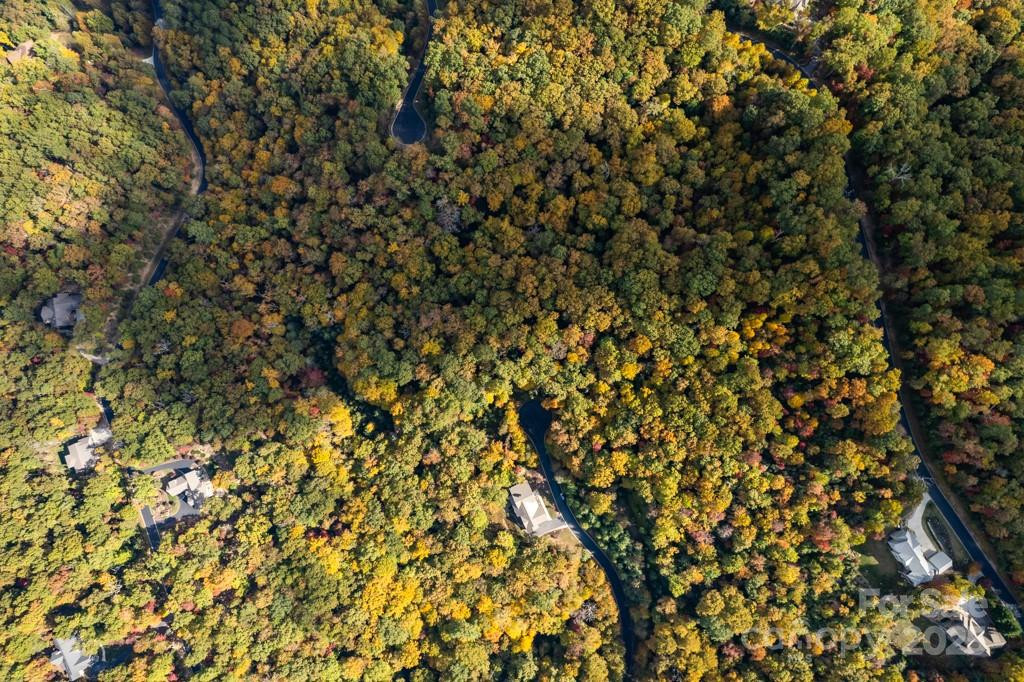 99999 Shining Rock Path - Photo 26