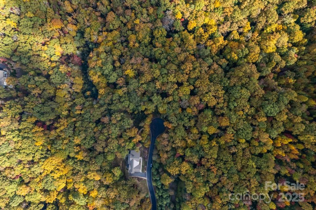 99999 Shining Rock Path - Photo 27