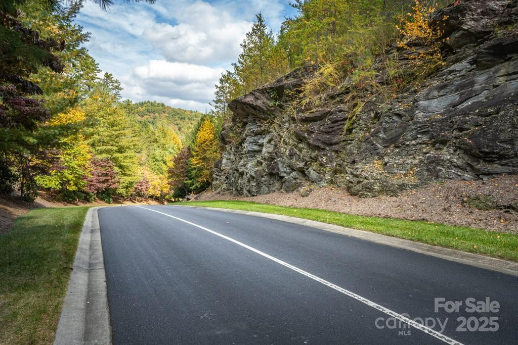 99999 Shining Rock Path - Photo 5