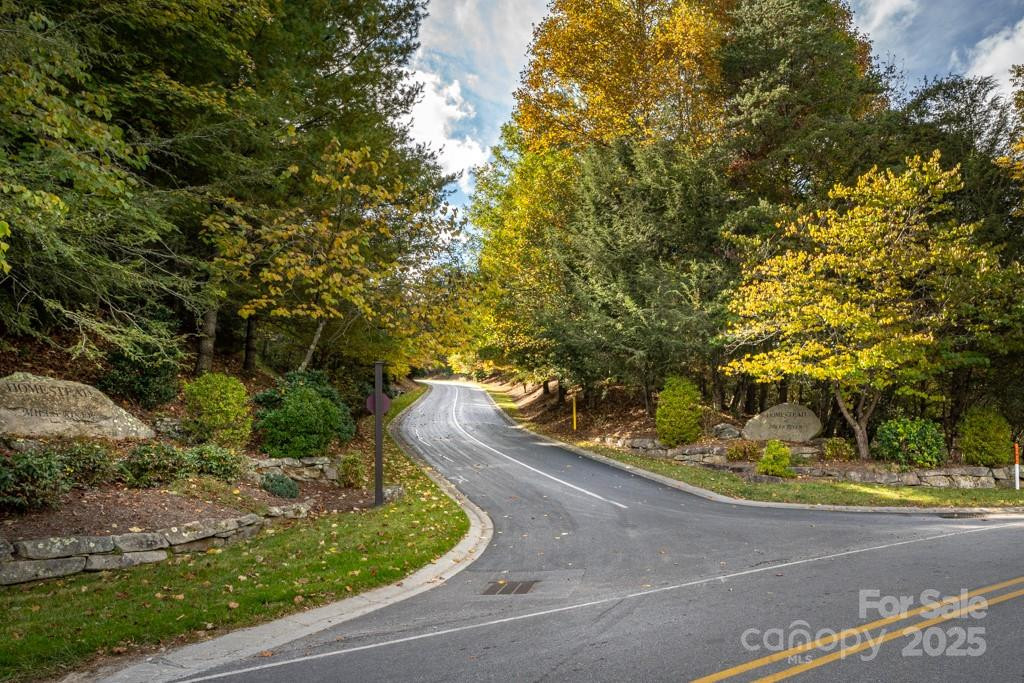 99999 Shining Rock Path - Photo 6