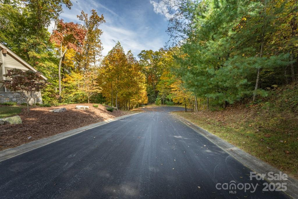 99999 Shining Rock Path - Photo 7