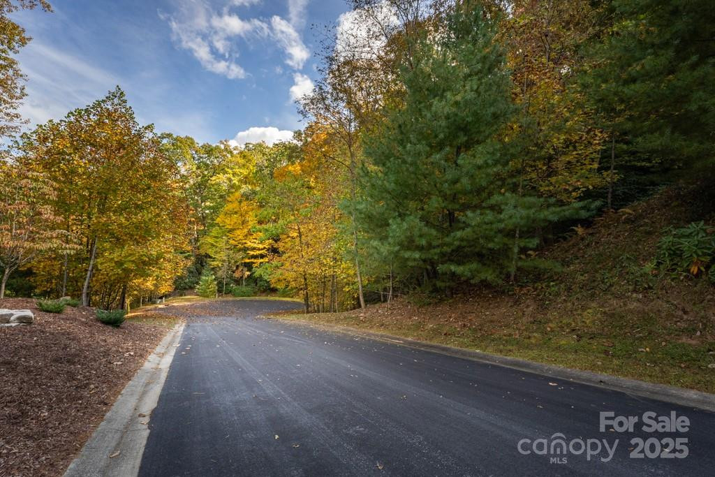 99999 Shining Rock Path - Photo 8