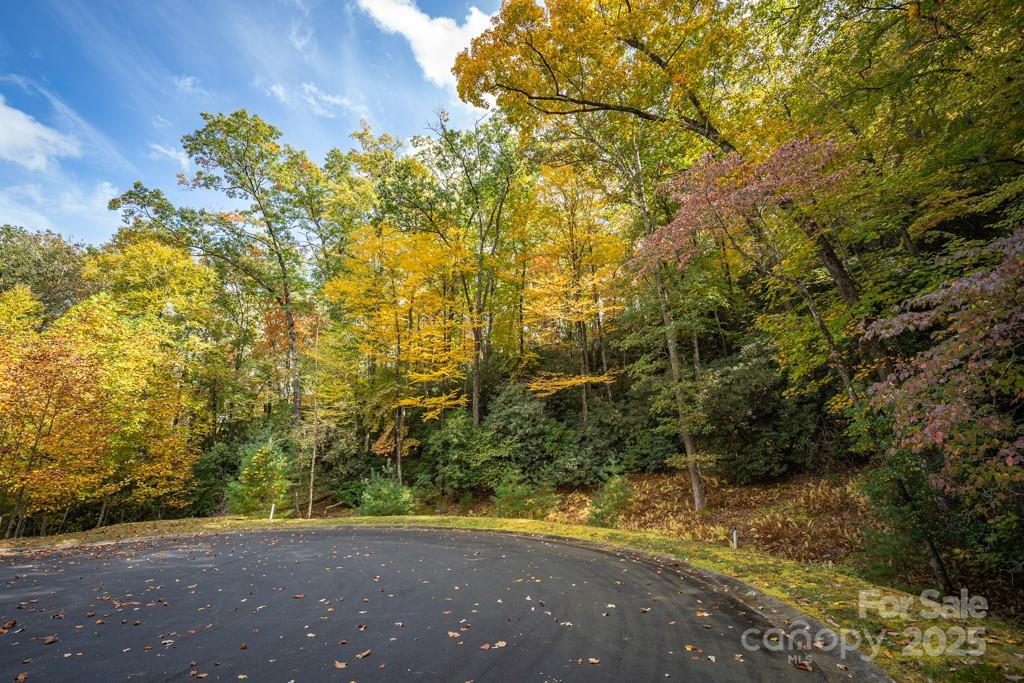 99999 Shining Rock Path - Photo 10