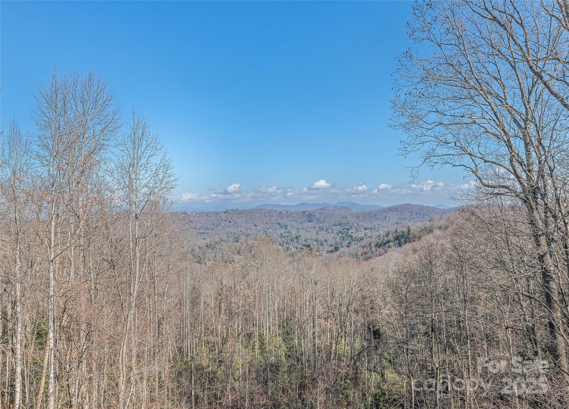 1350 Davis Mountain Road - Photo 11