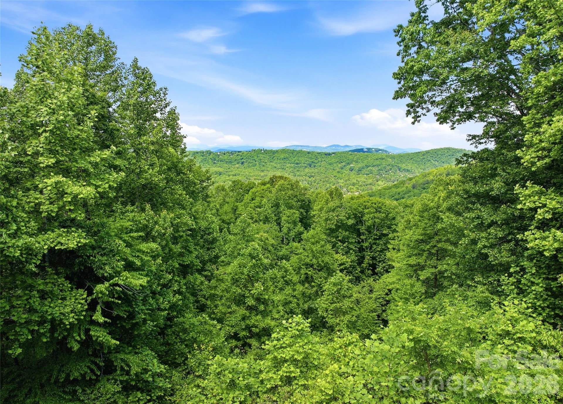 1350 Davis Mountain Road - Photo 48