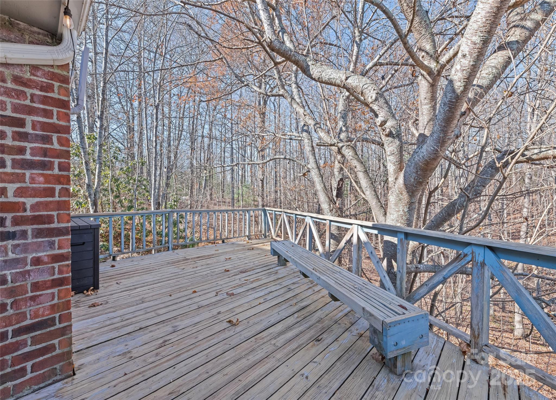 1350 Davis Mountain Road - Photo 8