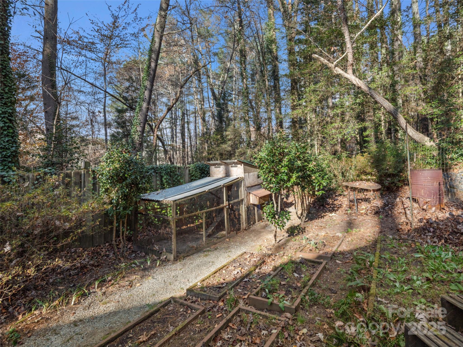 73 Top of the Mountain Road - Photo 18