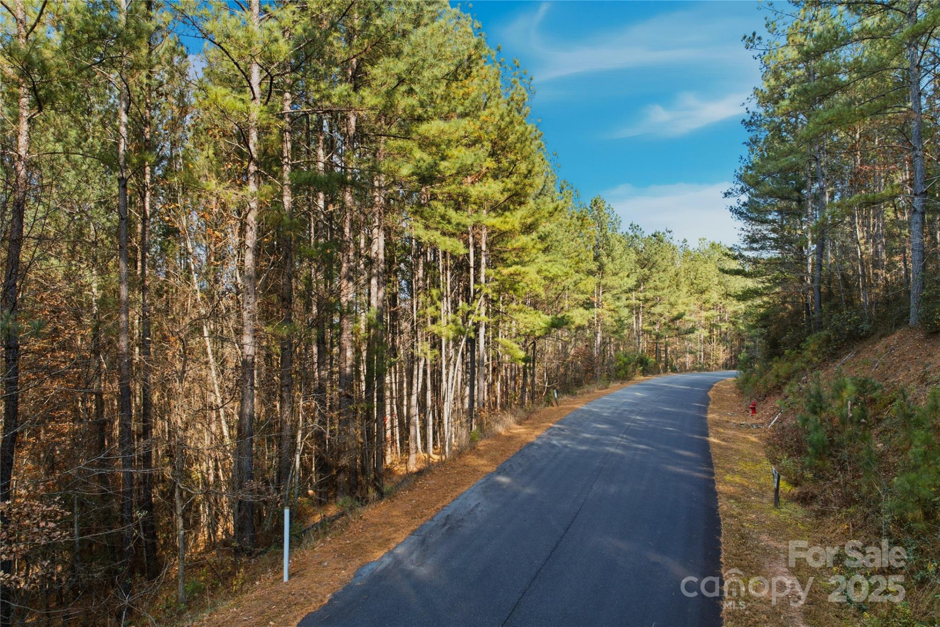 161 Settings Boulevard - Photo 2