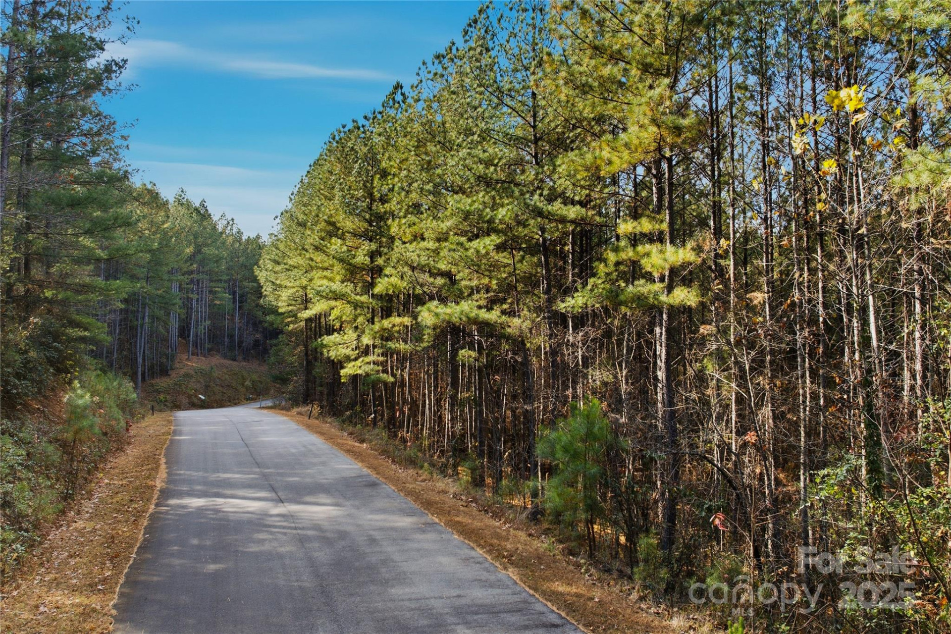 161 Settings Boulevard - Photo 3