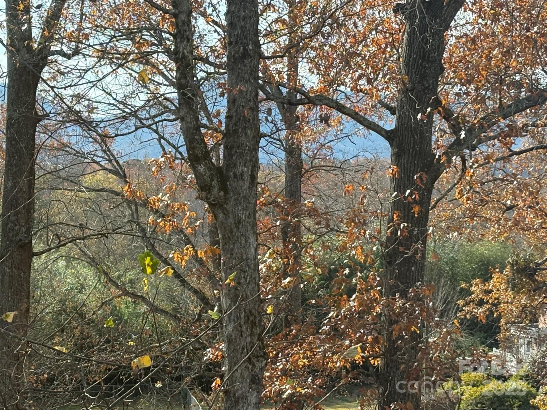 114 Broadway Avenue - Photo 13