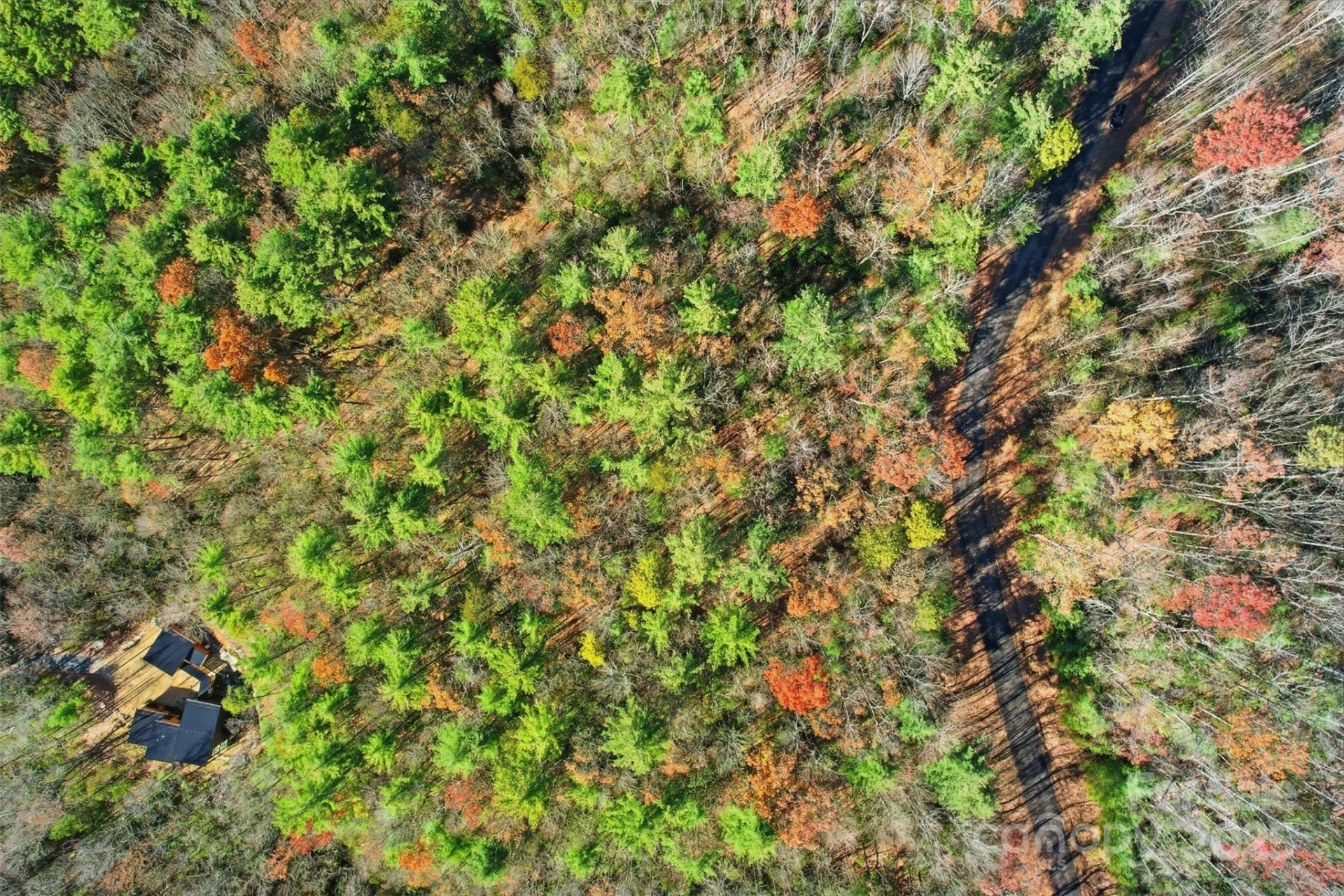 Lot 75 Peppervine Circle