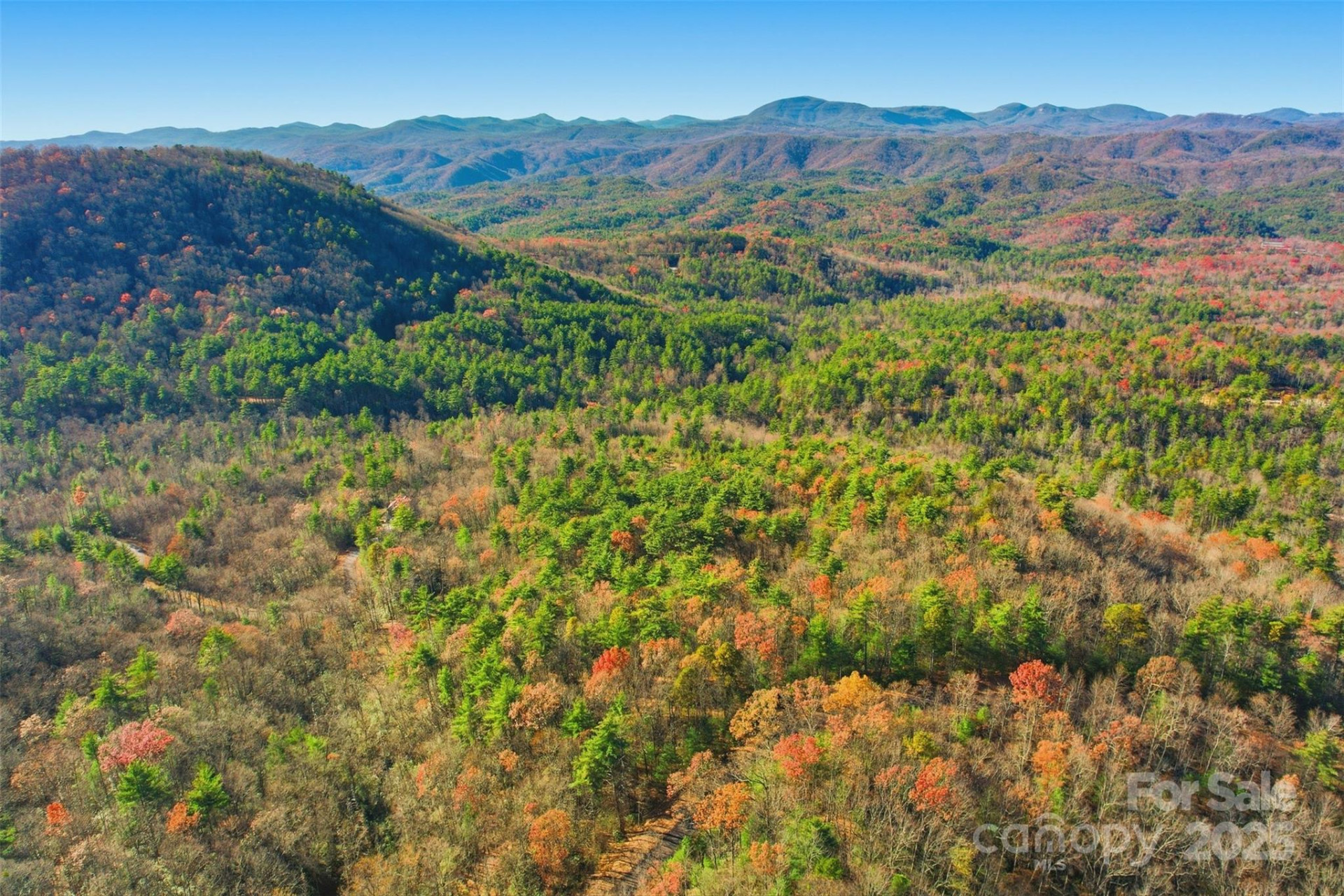 Lot 75 Peppervine Circle - Photo 11