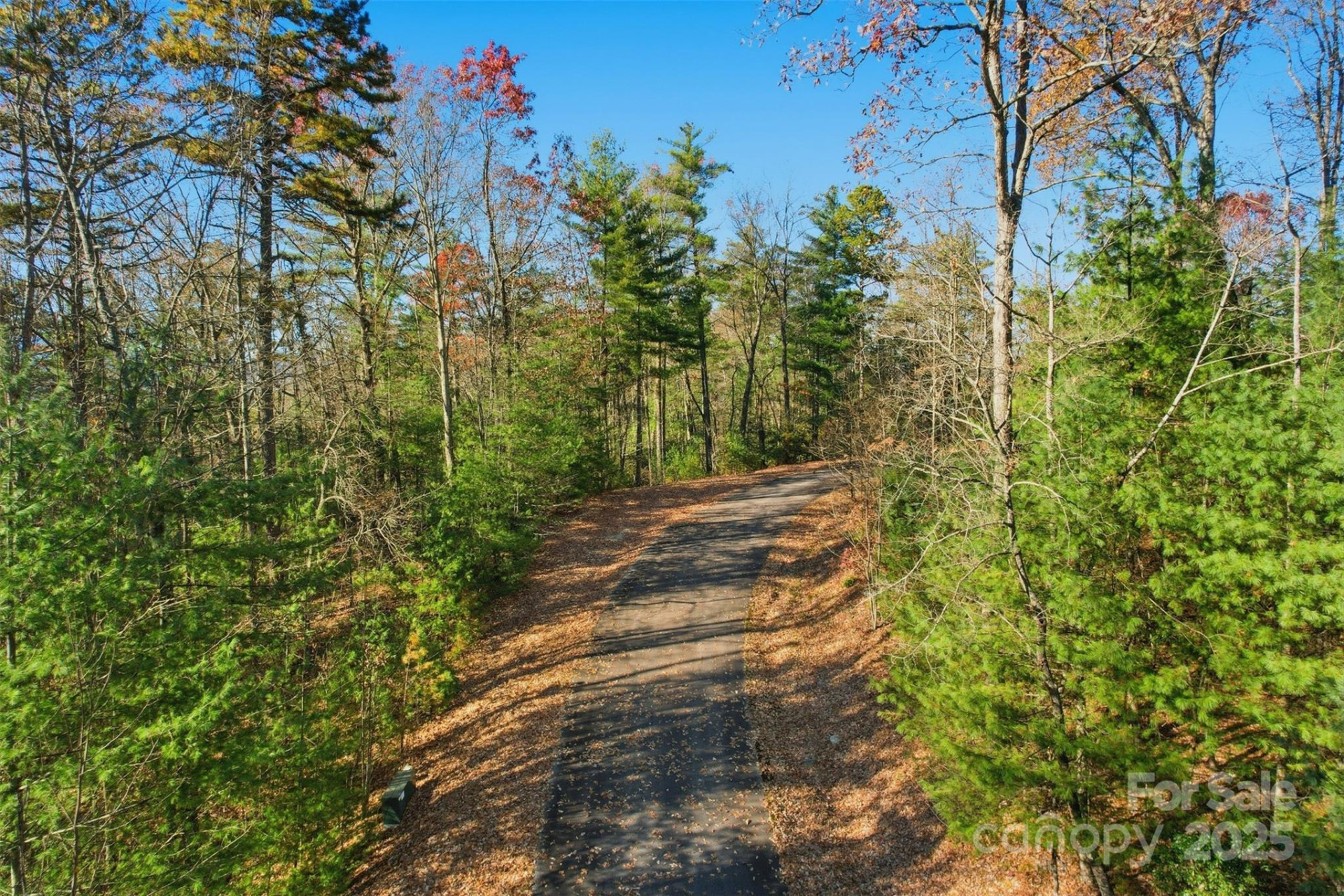 Lot 75 Peppervine Circle - Photo 12