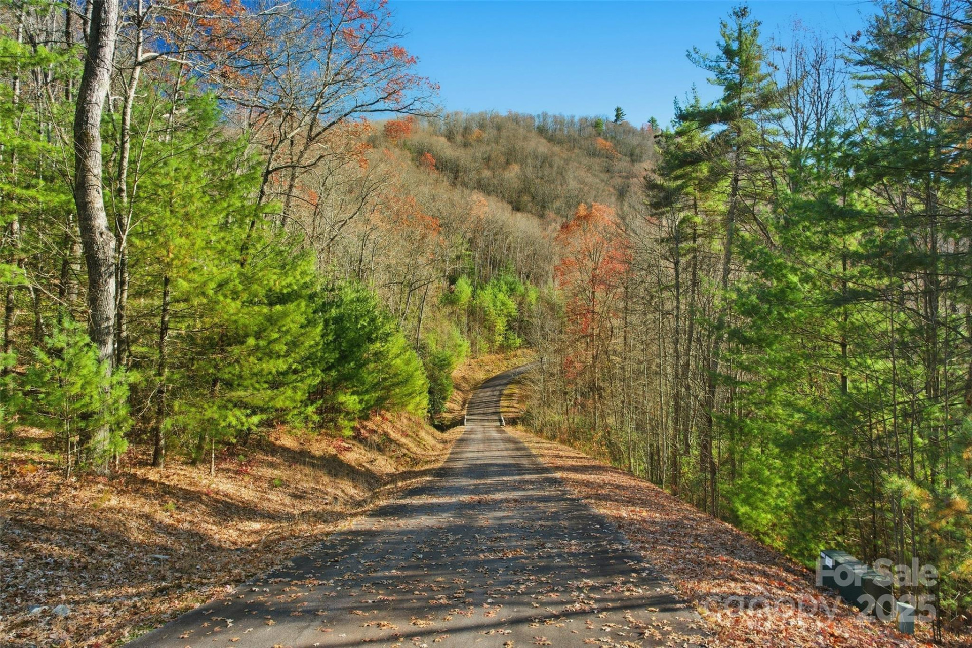 Lot 75 Peppervine Circle - Photo 13