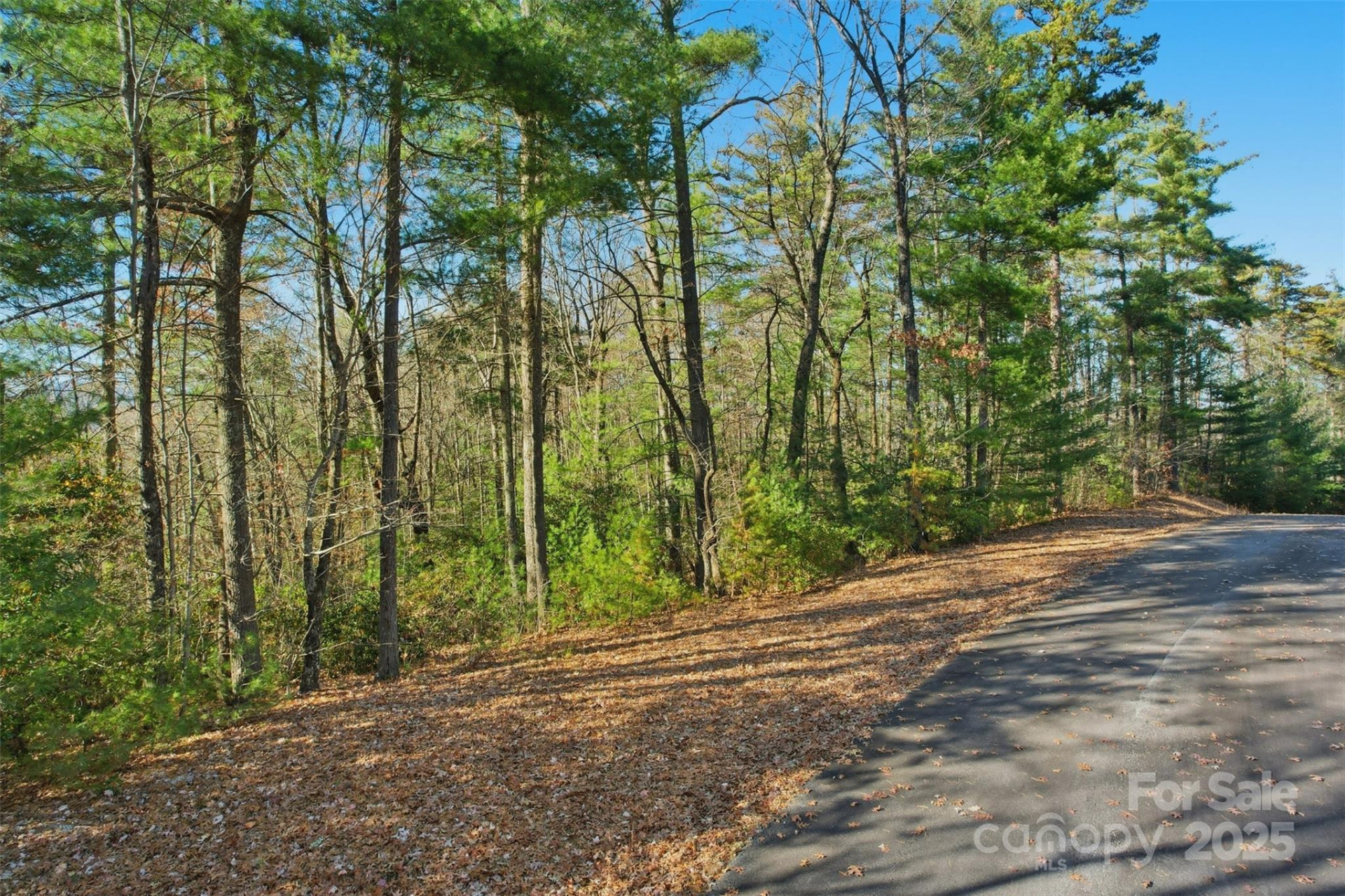 Lot 75 Peppervine Circle - Photo 14