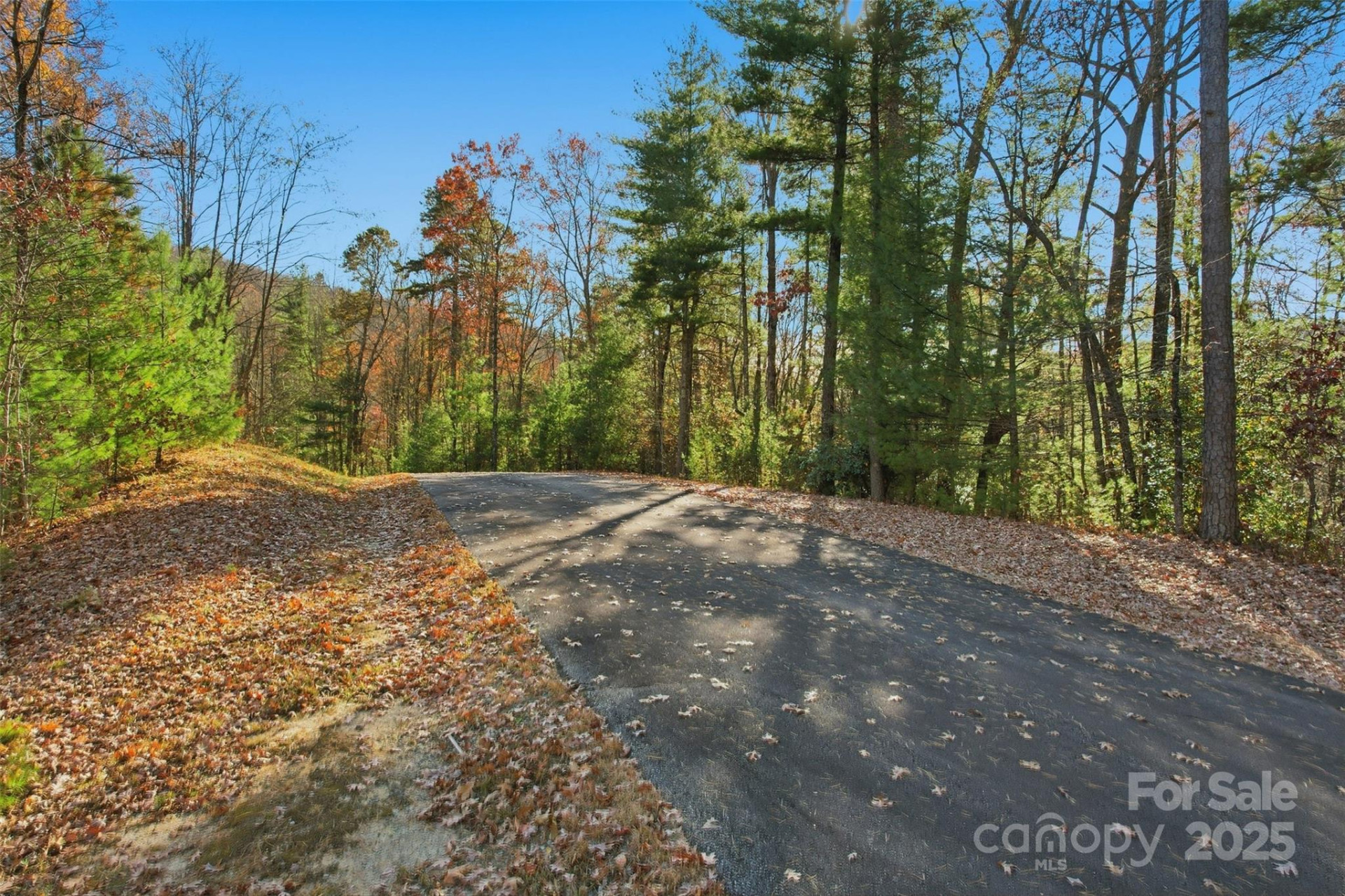 Lot 75 Peppervine Circle - Photo 16