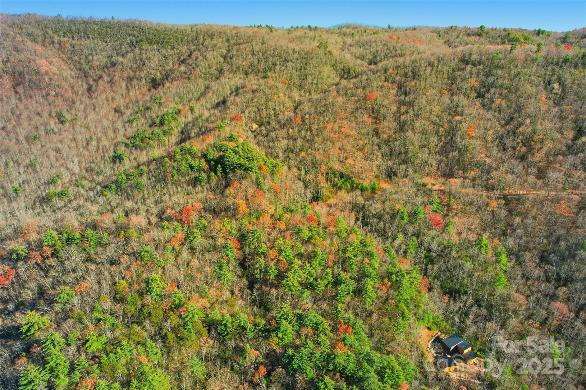 Lot 75 Peppervine Circle - Photo 6