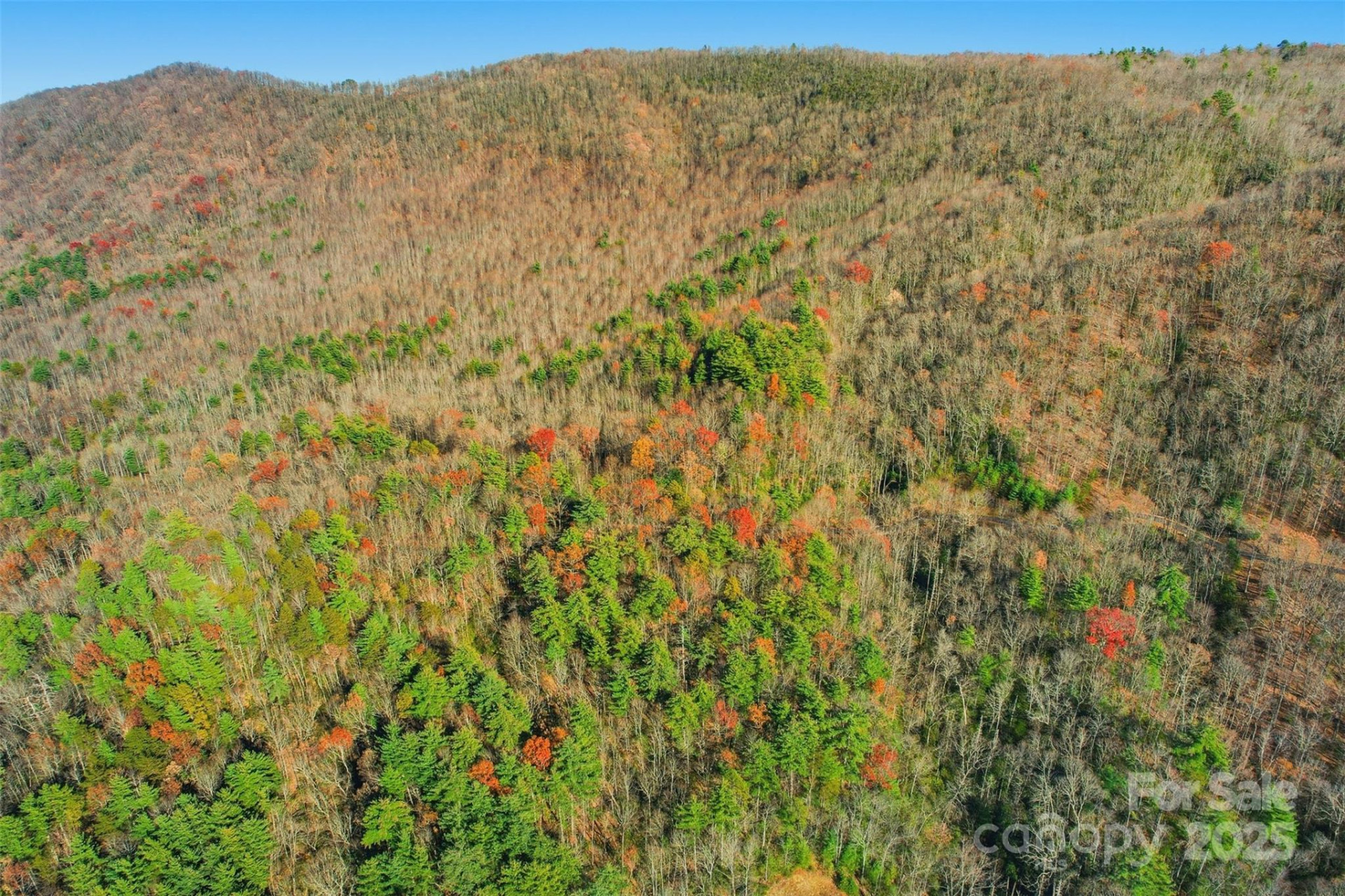 Lot 75 Peppervine Circle - Photo 7