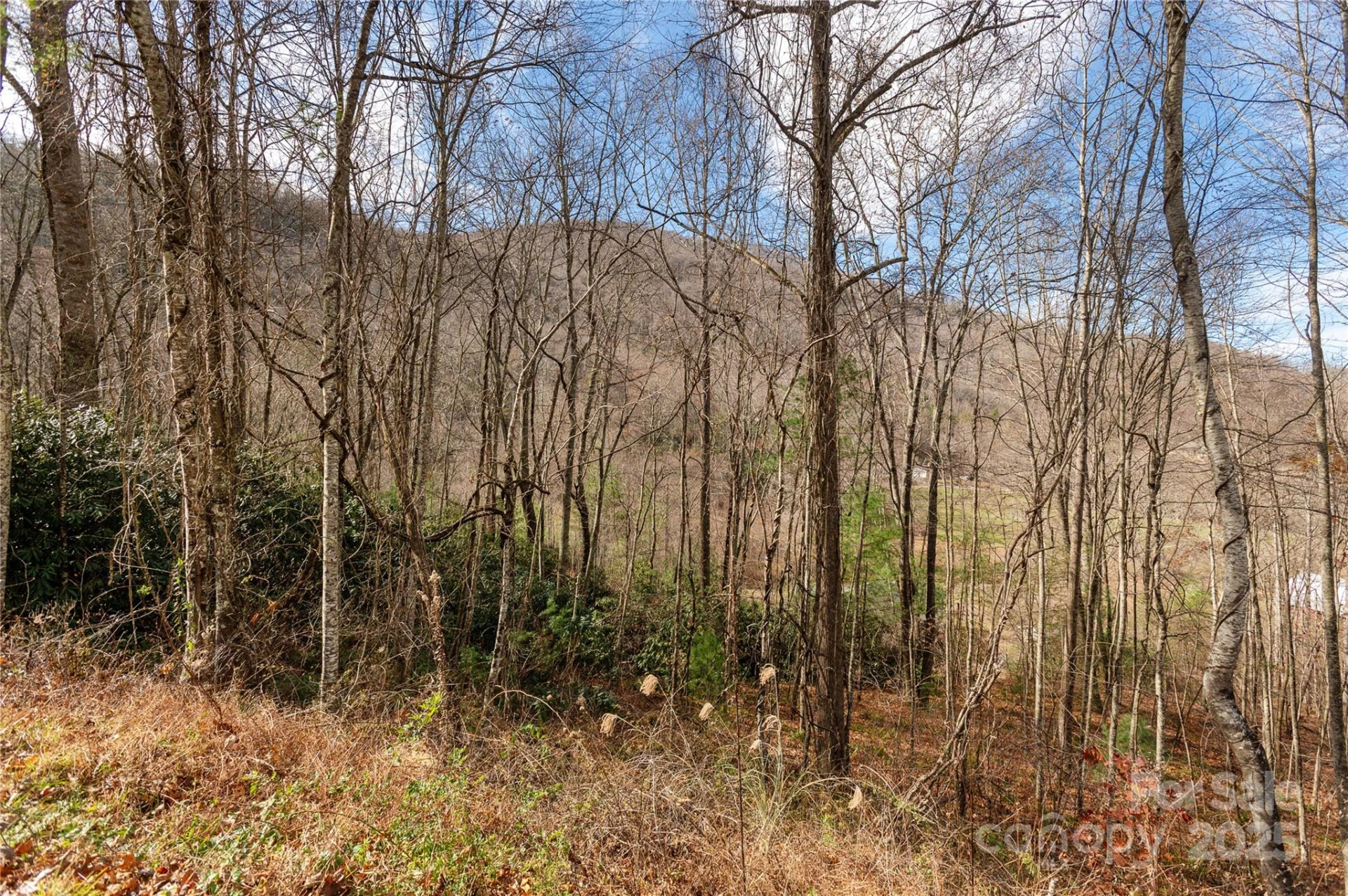 00 Terrys Gap Road - Photo 8