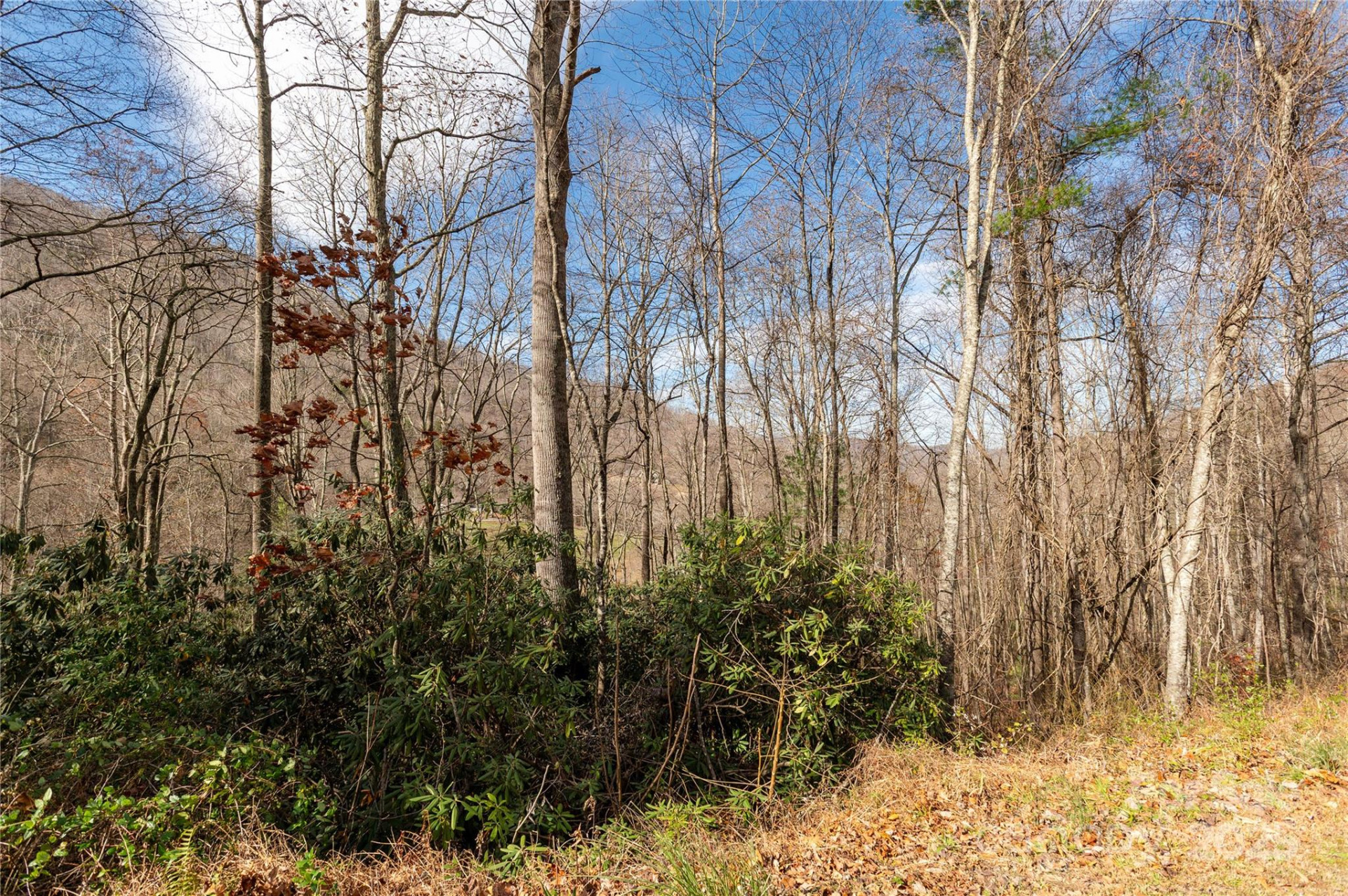 00 Terrys Gap Road - Photo 9