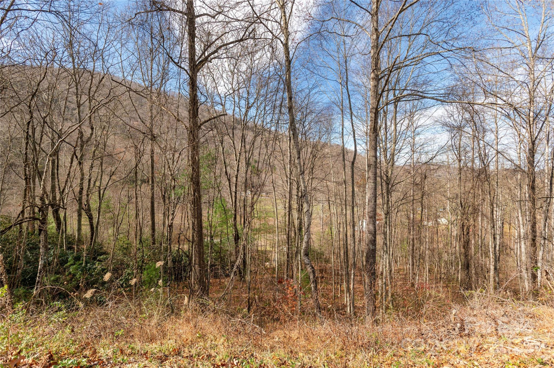 00 Terrys Gap Road - Photo 10
