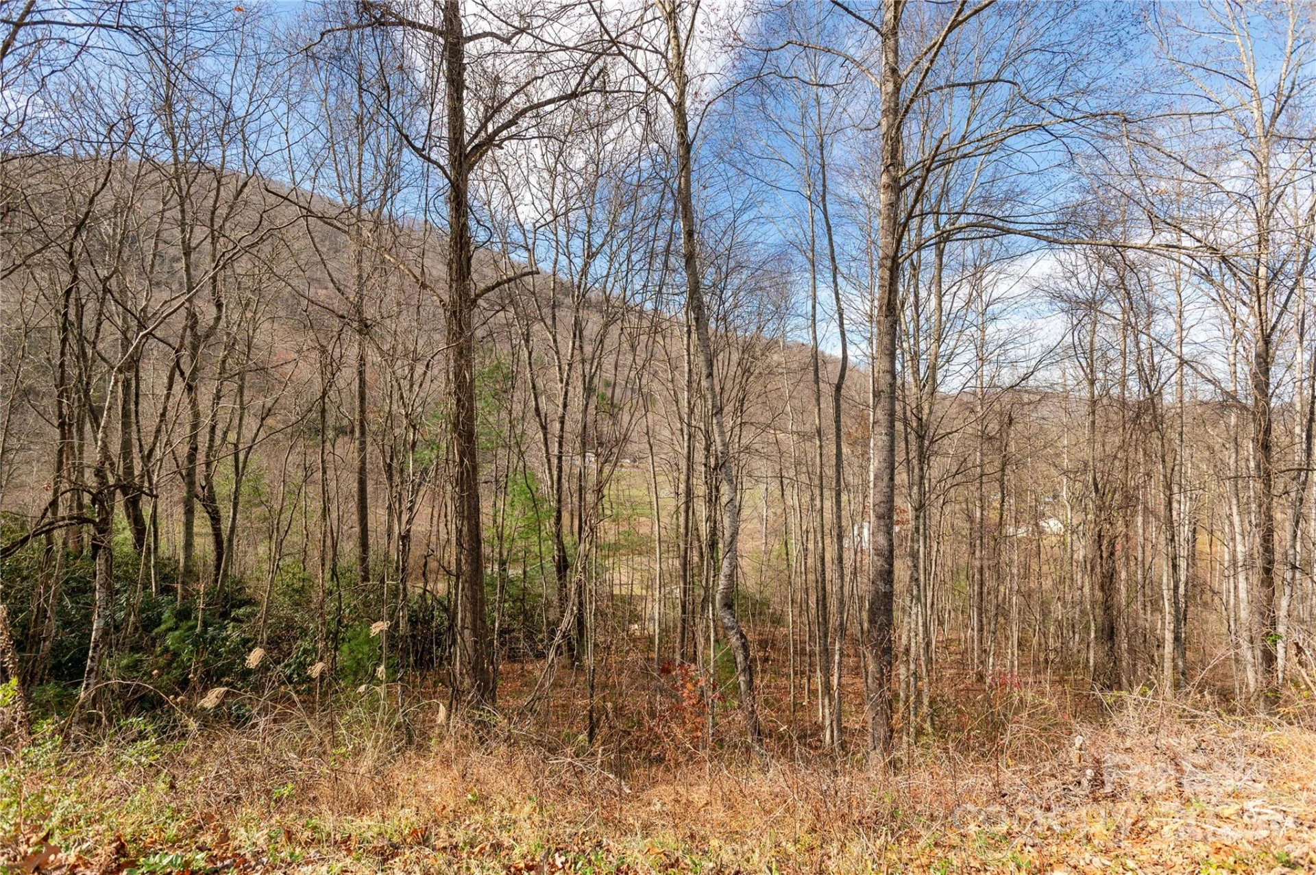00 Terrys Gap Road - Photo 10