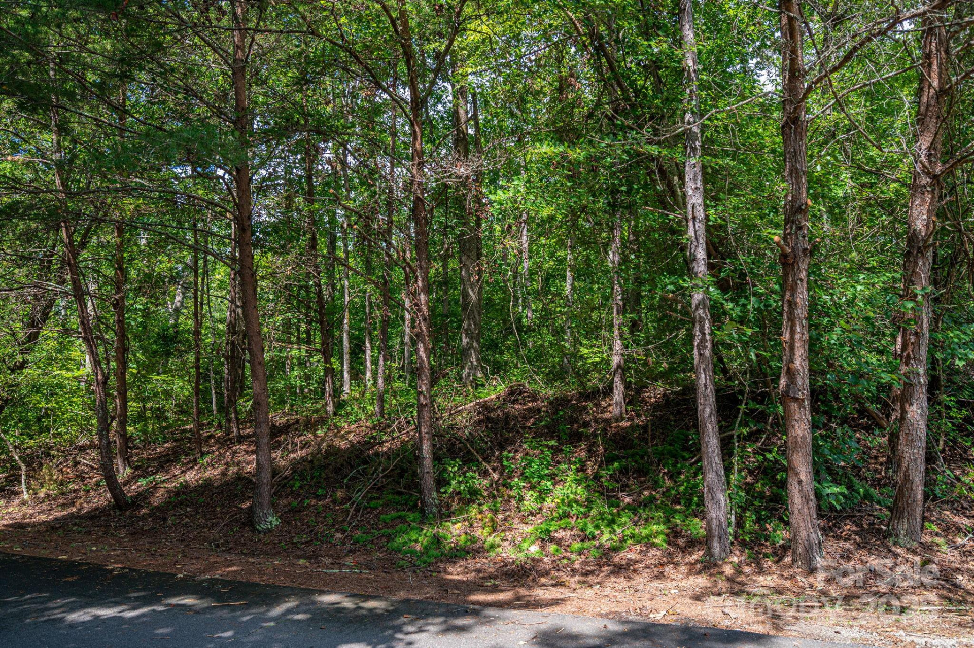 Lot 26 Line Drive - Photo 2