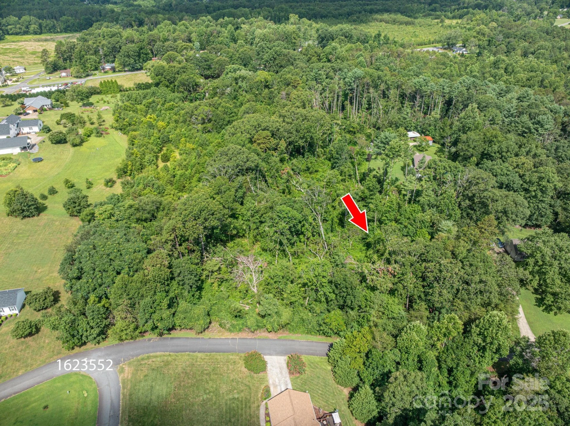 Lot 26 Line Drive - Photo 4
