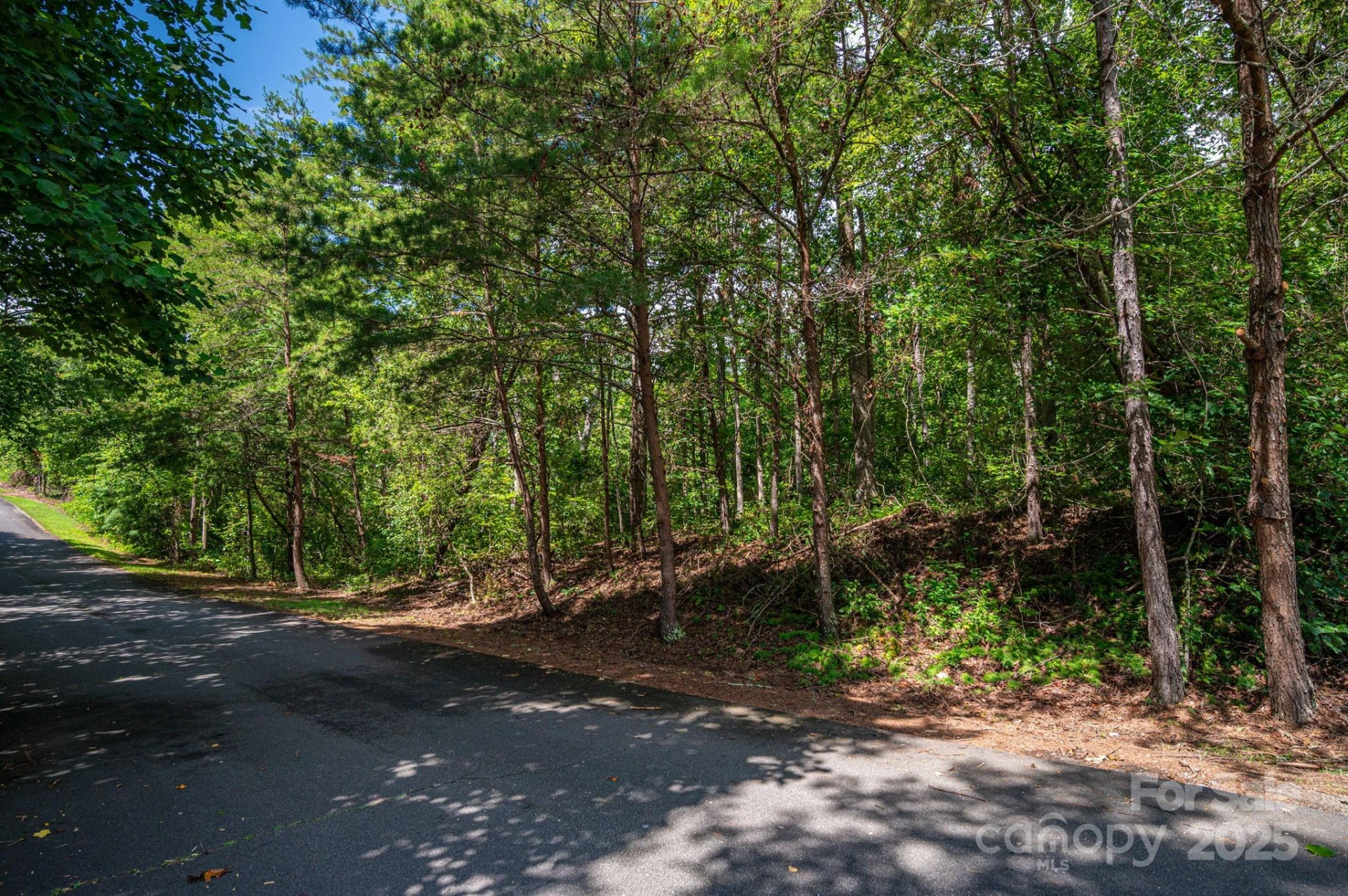 Lot 26 Line Drive - Photo 5